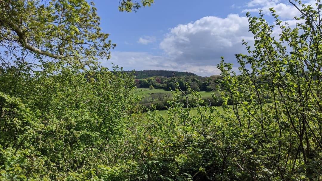 No7 Glan Nodwydd Villa Pentraeth Dış mekan fotoğraf