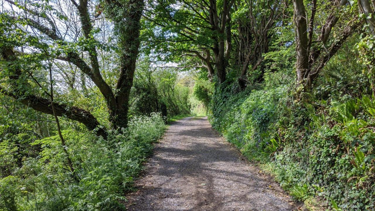 No7 Glan Nodwydd Villa Pentraeth Dış mekan fotoğraf