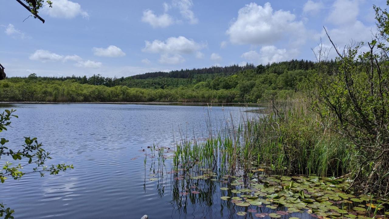 No7 Glan Nodwydd Villa Pentraeth Dış mekan fotoğraf